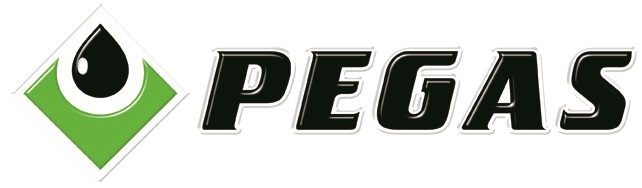 PEGAS Logo
